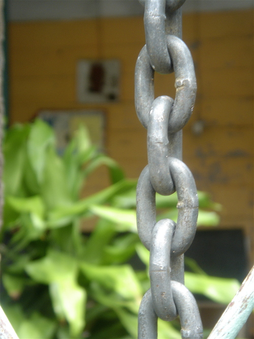 Chaîne de vie