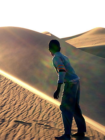 Sur la crête